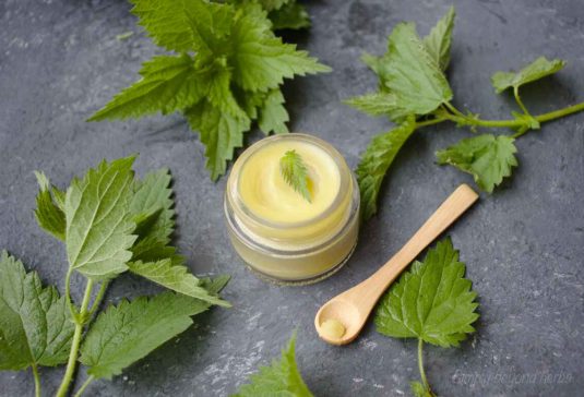 استخلاص مرهم فعال في علاج الاتهاب الروماتيدى من خلاصة نبات القراص