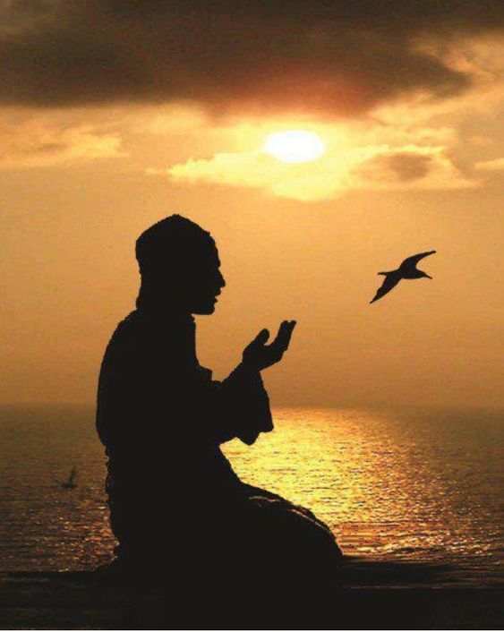 اعظم سبب لدخول عباد الرحمن الجنة بعد رحمة الله