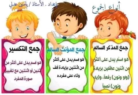 الجمع في اللغة العربية 