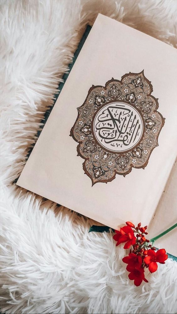 حكم التجويد الميم الساكنه اذا جاء بعدها حرف الواو هو