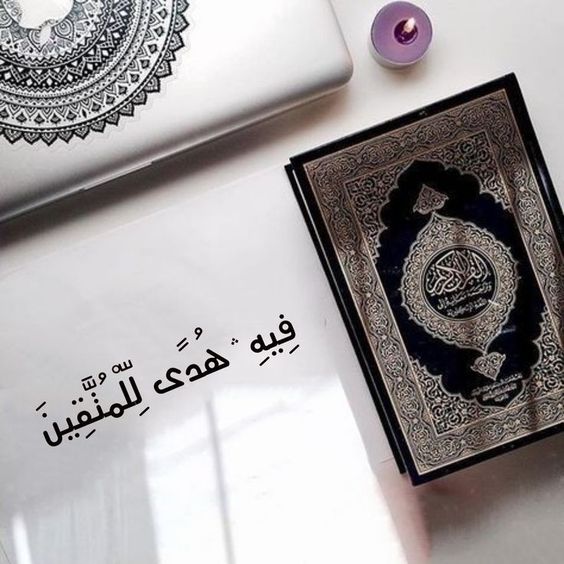  عبارات عن القرآن