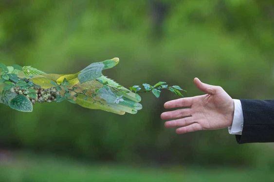 اي المناطق البيئيه تعد اقل تنوعا