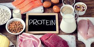  استخدام البروتين