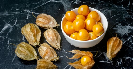 التوت الذهبي 