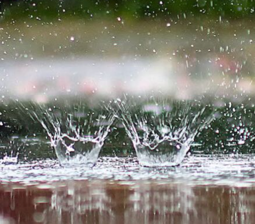 هل مياه الأمطار آمنة للشرب؟