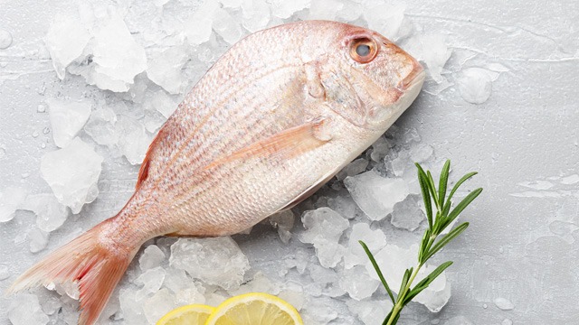 أسماك لا تأكلها