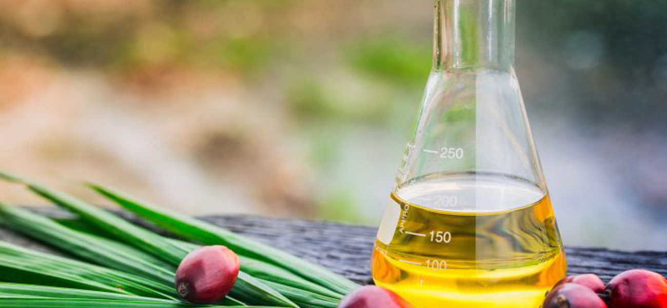 فوائد وأضرار زيت النخيل