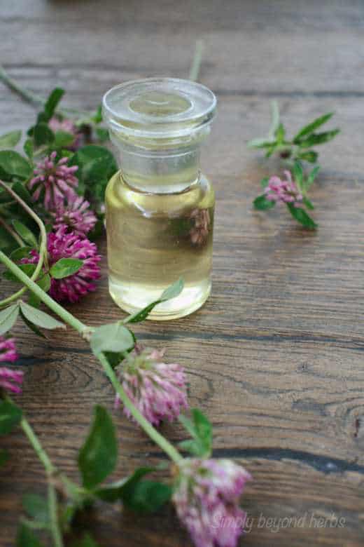 استخدام زيت البرسيم الأحمر