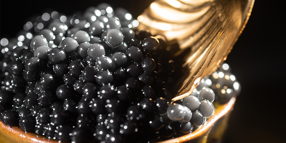 أنواع الكافيار