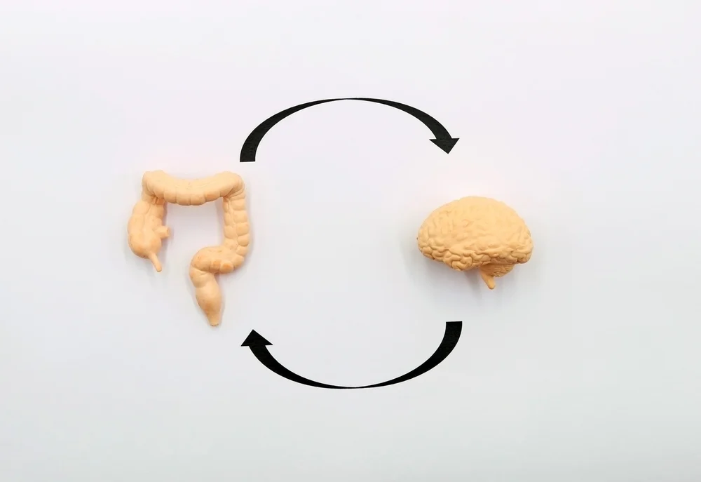 كيف تؤثر المعدة والأمعاء على الدماغ؟