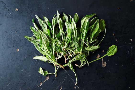 طرق طبخ الحميض