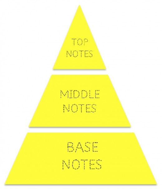 الهرم العطري في العطور