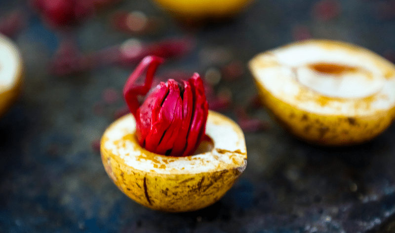 معلومات عن زبدة أوكوبا