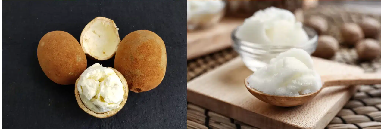 الفرق بين زبدة الشيا و زبدة الكوبواكو