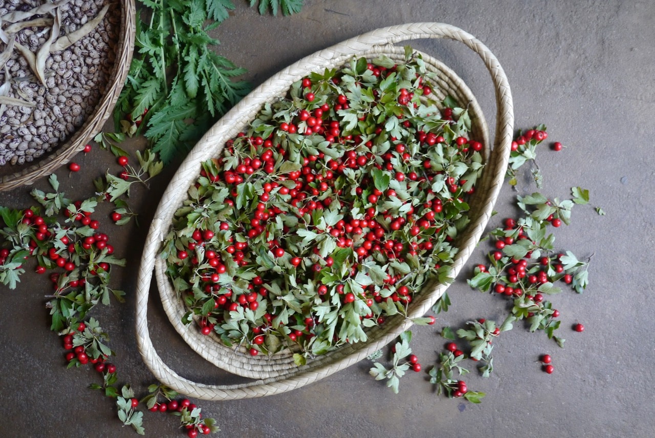 فوائد عشبة الزعرور