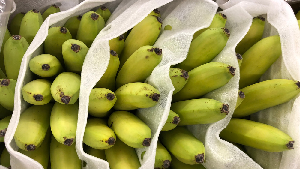 فوائد الموز الأخضر 