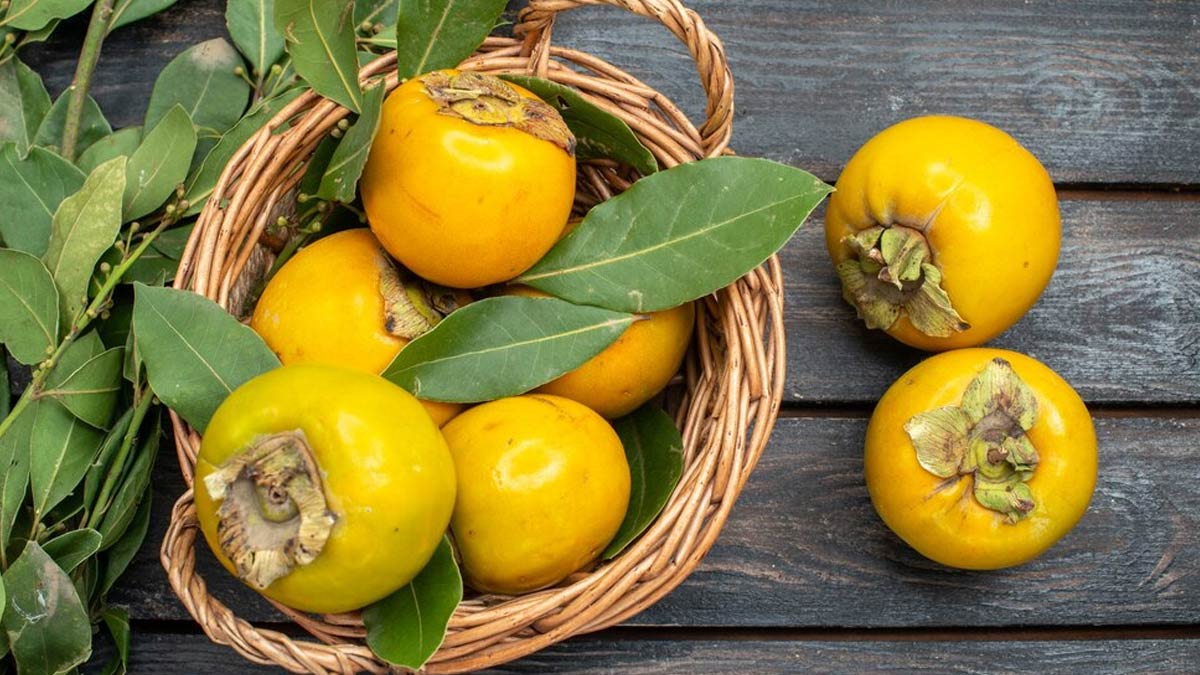 فوائد الكاكا للبشرة وطرق تحضير خلطات منها