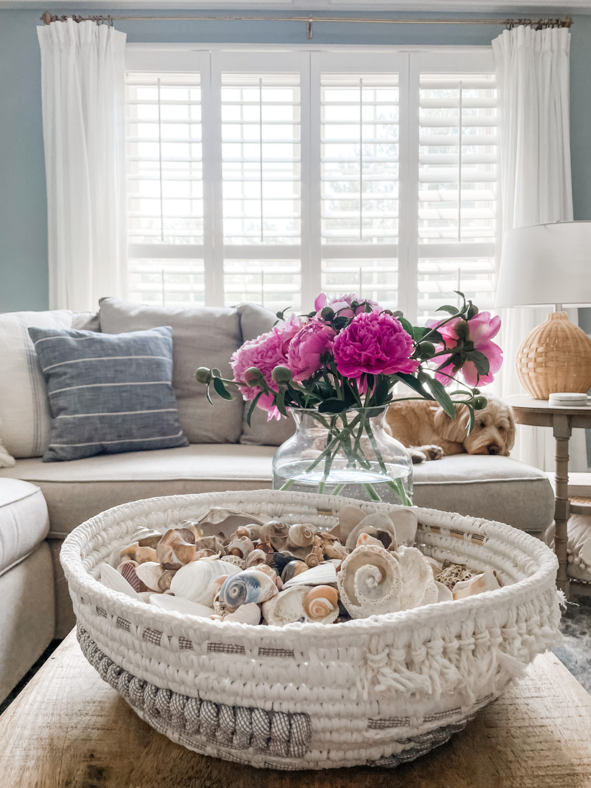  طرق تزيين المنزل باستخدام الأصداف