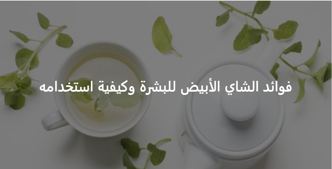 كيفية دمج الشاي الأبيض في روتين العناية بالبشرة