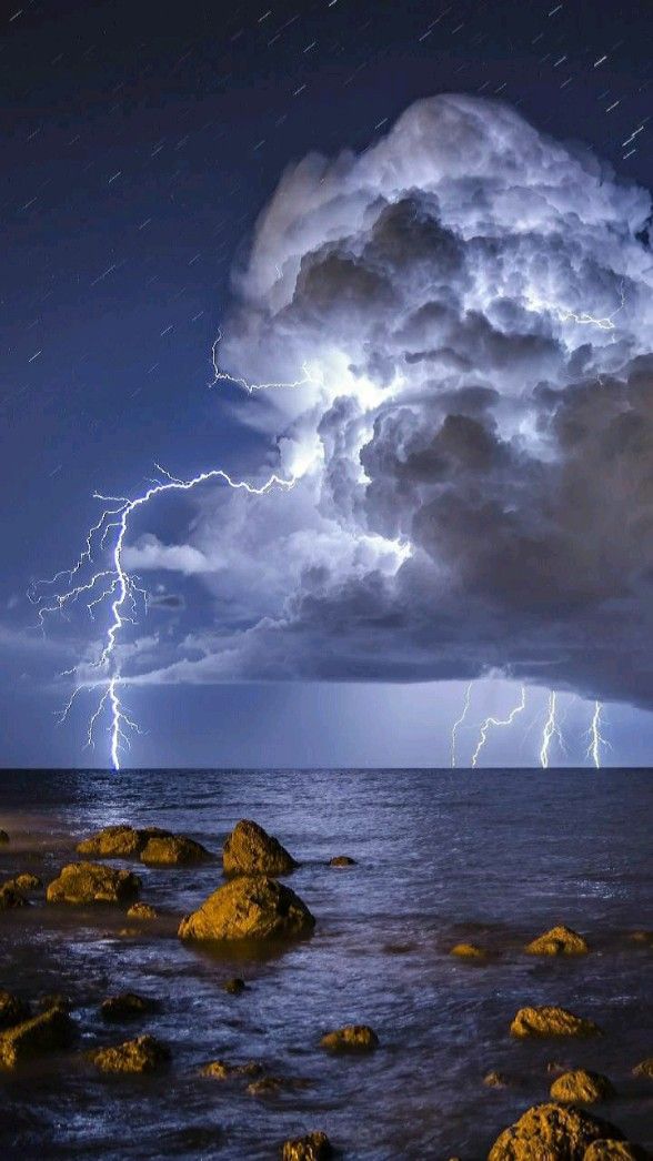 هل البرق كائن حي؟